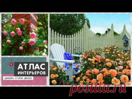Розарий на даче своими руками. Розы в ландшафте и дизайне двора - YouTube