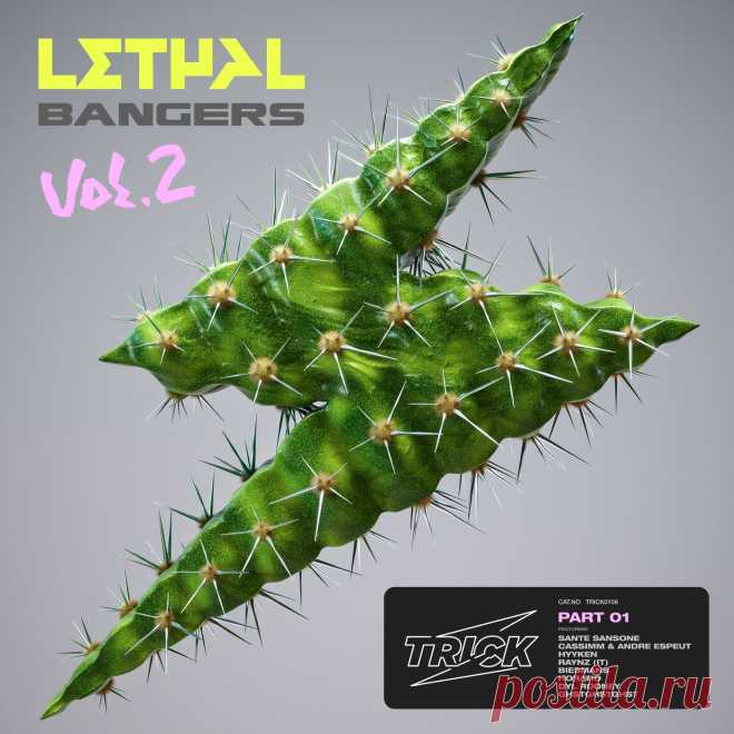 VA - Trick Presents Lethal Bangers Vol. 2 (Part 1) TRICK106 FLAC » MinimalFreaks.co