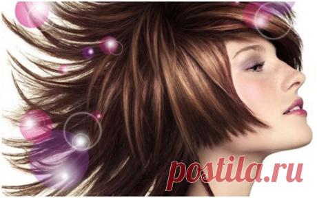 Двойное окрашивание волос (39 фото): как сделать цвет разными оттенками, видео и фото