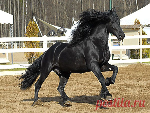 37dd6c7ce2d9f247a116f23a395a96ab.jpg (изображение «JPEG», 600 × 450 пикселов)