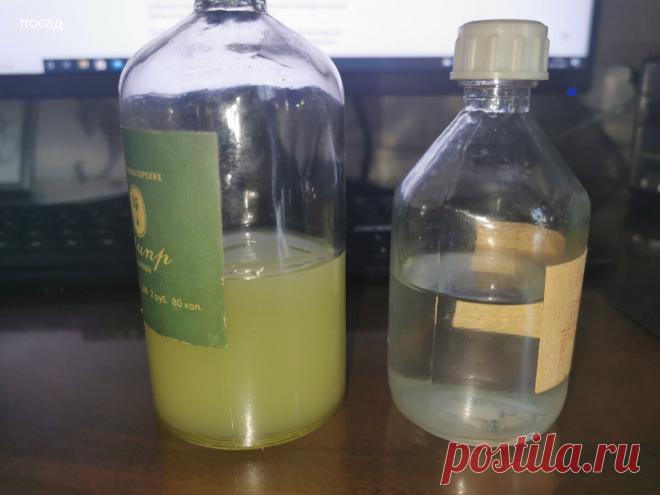 30-летнее советское средство восстановило мои руки, высушенные огородом, лучше дорогих современных кремов. Правильный состав | Посад | Дзен