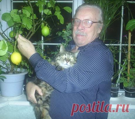 я са котом и лимоном