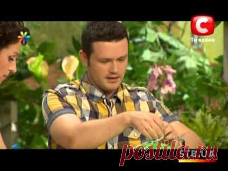 ▶ «Все буде добре» Выпуск 9. Люстра из шариков - YouTube