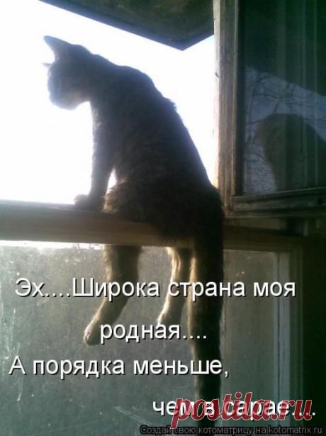 Очередная порция юмора и смеха / Болталка / Юмор