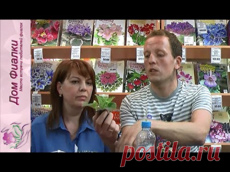 ДФ.Нюансы размножения химер(М.Тотиева, И.Рачков)2017