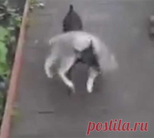 Будь реалистом