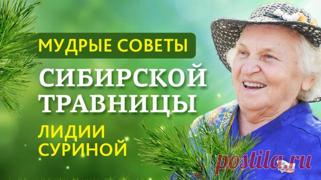 Мудрые советы сибирской учёной травницы Лидии Суриной | Раведа | Яндекс Дзен