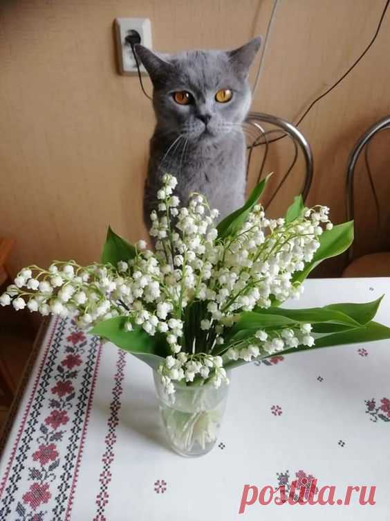 Pinterest