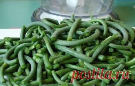 ЧЕСНОЧНЫЕ СТРЕЛКИ ВПРОК
С супом или борщом, просто ум отъешь!
Чеснок (чесночные молодые стрелки) — 500 г 
Соль — 0,5 ч. л. 
Масло растительное — 1,5 ст. л. 
Собранные с чеснока стрелки хорошо помыть и удалить жёсткую часть. Как это сделать стрелочка вам подскажет сама. Мягкая часть стрелки хорошо обламывается при нажатии, а уже огрубевшая часть просто заламывается. 
Затем выложить на бумажное п