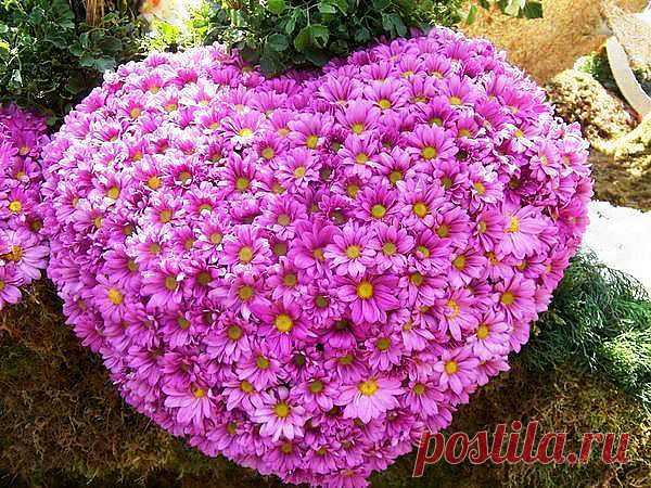 ❁⁀ ♥ ⁀✿ ✫ℒℴνℯ✫ ❁⁀ ♥ ⁀✿