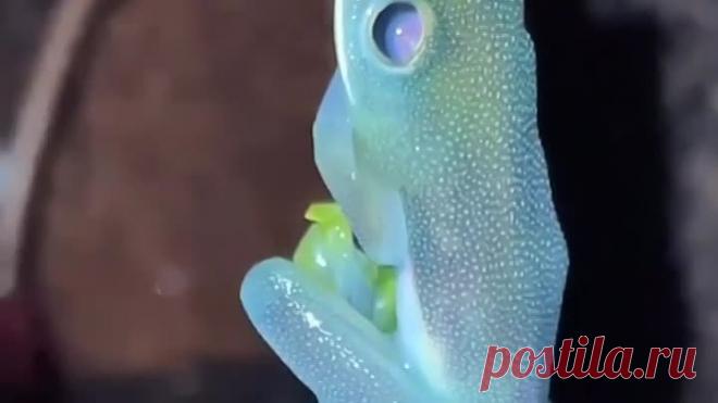 upload_258858398_file