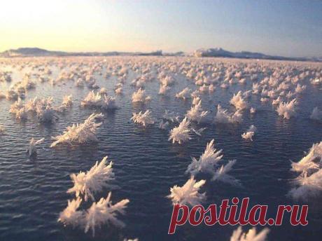 Интересные новости