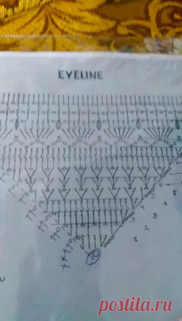 бактус Eveline #caitriona #sewing #sew #вязайнер #вяжутнетолькобабушки... | TikTok