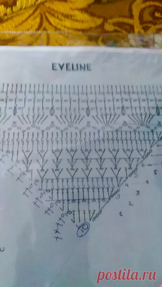 бактус Eveline #caitriona #sewing #sew #вязайнер #вяжутнетолькобабушки... | TikTok