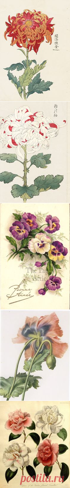 (25) Pinterest • Всемирный каталог идей