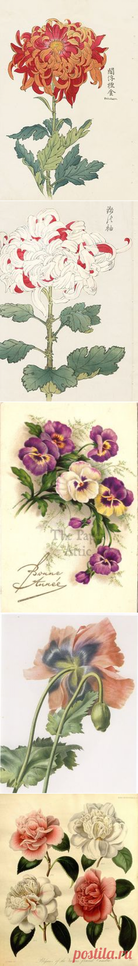 (25) Pinterest • Всемирный каталог идей