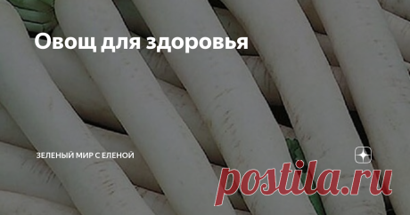 Овощ для здоровья Эта культура является ближайшим родственником редиса и редьки, она очень полезная и вкусная. Китайская или японская редька, как у нас ее называют, быстро завоевывает популярность в нашей стране, наши восточные соседи точно знают толк в правильном питании. Дайкон, а именно о нем пойдет речь, культура неприхотливая и урожайная. Вырастить его сможет даже начинающий садовод-огородник. Чтобы вырастить дайкон надо знать нехитрые правила его агротехники. Дайкон ...