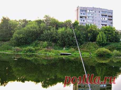 Плотва — тоже хорошо!