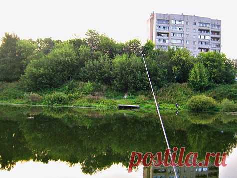 Плотва — тоже хорошо!