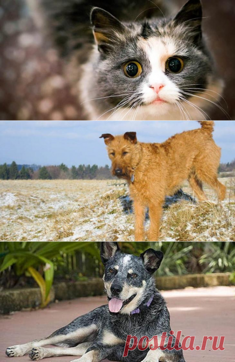 Иногда они возвращаются