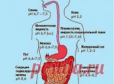 (99) Одноклассники