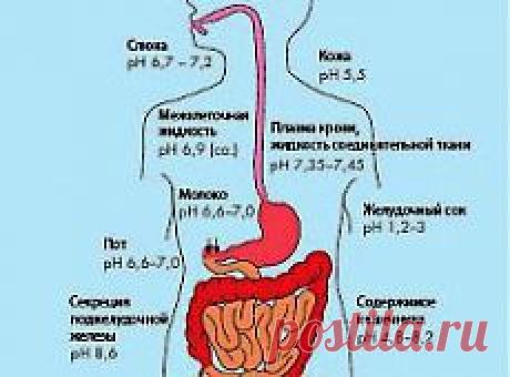 (99) Одноклассники