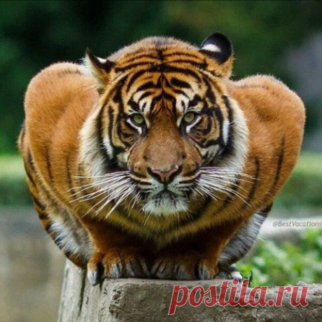 Вам и не снилось...
W G