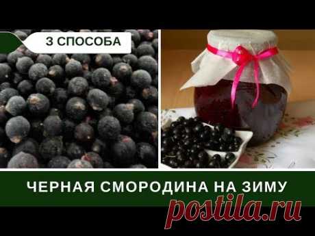 Черная Смородина На Зиму: Три Способа Заготовки + Малина
