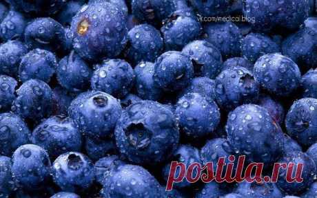 ТОП 10 Самых полезных продуктов для продления жизни. | thePO.ST