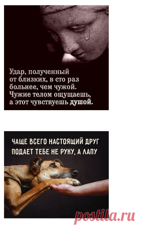Мудрые мысли: подборка