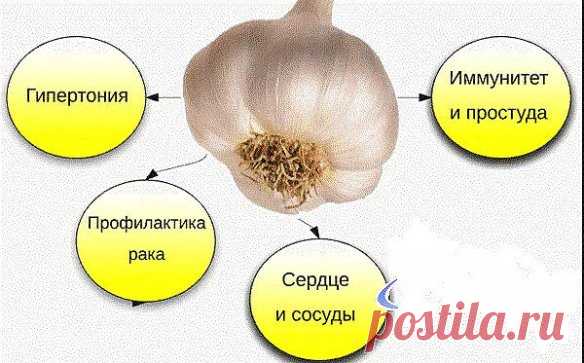 Чесночная шелуха продлевает молодость.
Белую шелуху от чеснока не выбрасывайте когда вы его чистите. А собирайте её и храните. Это ценнейшее средство для продления молодости. Для этого каждый месяц надо пить напиток, приготовленный из белой шелухи чеснока. Этот напиток очень прост в приготовлении: надо взять горсть шелухи белого чеснока и залить её стаканом кипятка. После того, как чайник вскипит, надо подождать от 1 до 3 минут, и только потом залить водой шелуху. Пить целебный напиток можно то