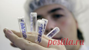 Массовая стерилизация – это реальность