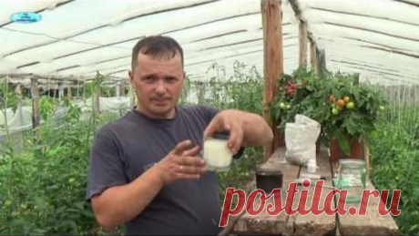 (16) Одноклассники