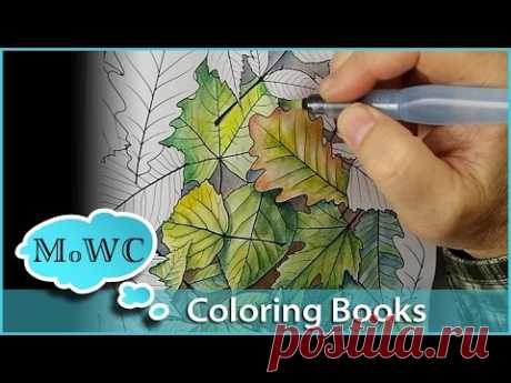 Coloring with Watercolor in Adult Coloring Books