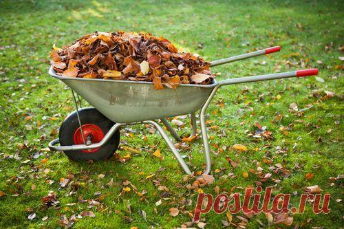 Сезонные работы в саду и огороде: третья неделя ноября. Чем согреться на холодной даче, необычные заготовки из чеснока, тепловой насос: плюсы и минусы