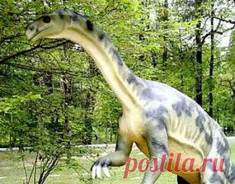 Платеозаврав (лат. Plateosauravus «предок платеозавра») — род базальных динозавров из подотряда завроподоморф (отнесён к этому таксону согласно классификации А. Отеро и Д. Пола 2013 года), систематическое положение которого до сих пор точно неизвестно. Известен по окаменелым останкам из триасовых отложений Южной Африки.