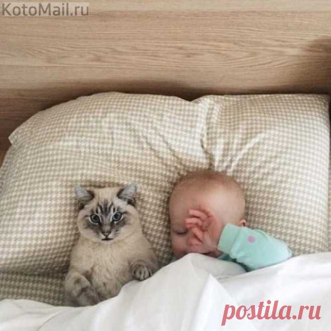 Без колыбельной мы не заснем...