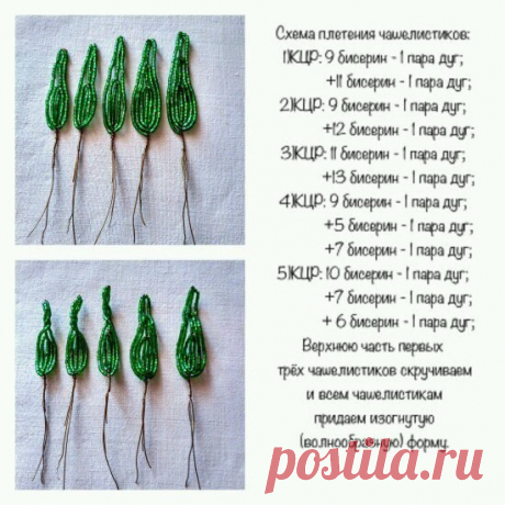 Мастер-класс "Роза"
Автор: Карамышева Елизавета