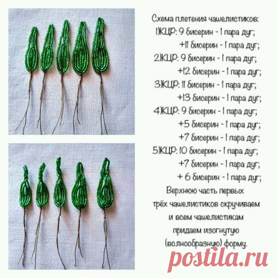 Мастер-класс 