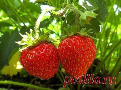 getImage (500×375)
