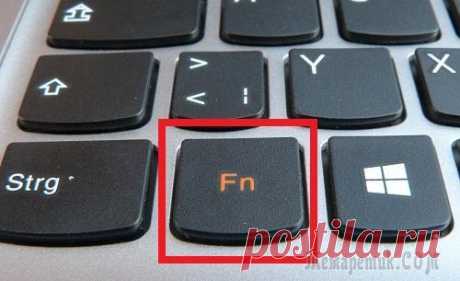 Не работает клавиша Fn на ноутбуке — что делать? На большинстве ноутбуков предусмотрена отдельная клавиша Fn, которая в сочетании с клавишами в верхнем ряду клавиатуры (F1 – F12) обычно выполняет специфичные для конкретного ноутбука действия (включе...
