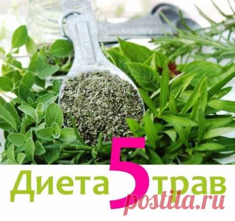 ХОЧЕШЬ ПОХУДЕТЬ НА 5 КГ ЗА 5 ДНЕЙ? УЗНАЙ КАК! | Диеты со всего света