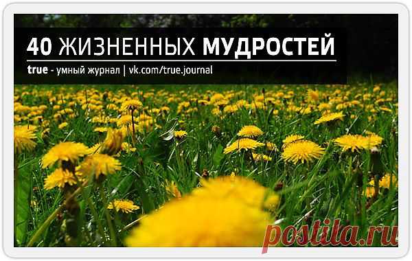 МУДРОСТЬ ПО КРУПИЦАМ | Записи в рубрике МУДРОСТЬ ПО КРУПИЦАМ | Дневник mila60