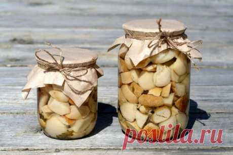 Маринованные белые #грибы 

Для приготовления понадобится:

Грибы белые - 5-8 кг.;
Для маринада на 1л. отваренных грибов:
Вода – 1,2 л.;
Перец душистый - 3-4 шт.;
Уксус 9% - 60 мл.;
Гвоздика – 2 бутона.;
Перец черный горошком - 5-6 шт.;
Лавровый лист – 2 листика.;
Соль не йодированная – 1,5 ст. ложки.

Приготовление:

1. Хорошо очистить грибы. Залить холодной водой и поставить вариться. Когда закипят, уменьшить огонь и обязательно снять пену.
2. В грибы добавить щепотку ли...