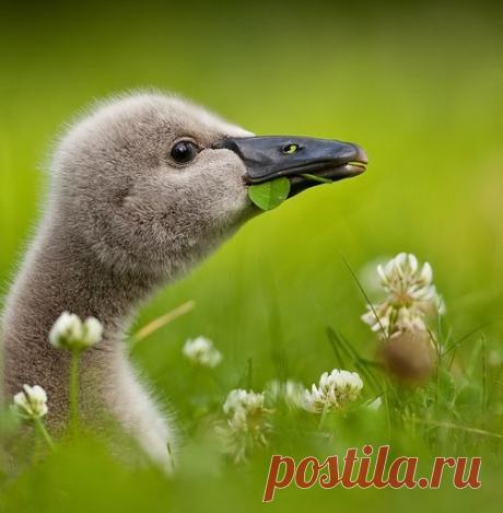 Думайте красиво. Мысли, которые мы выбираем, подобны краскам, которыми мы пишем на холсте жизни.