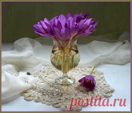 Крокусы - посланники весны Натюрморты