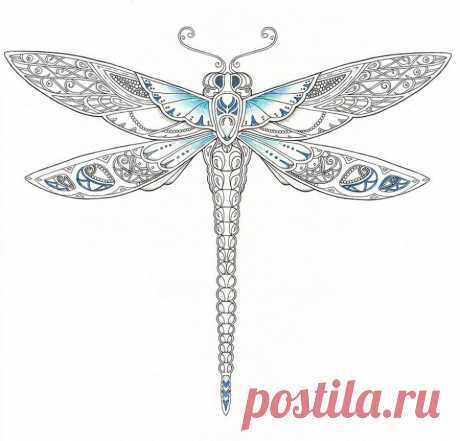 Восхитительная раскраска для взрослых