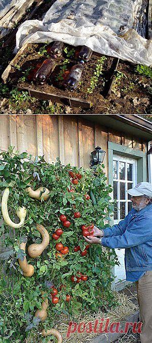 Полезности для дачи.