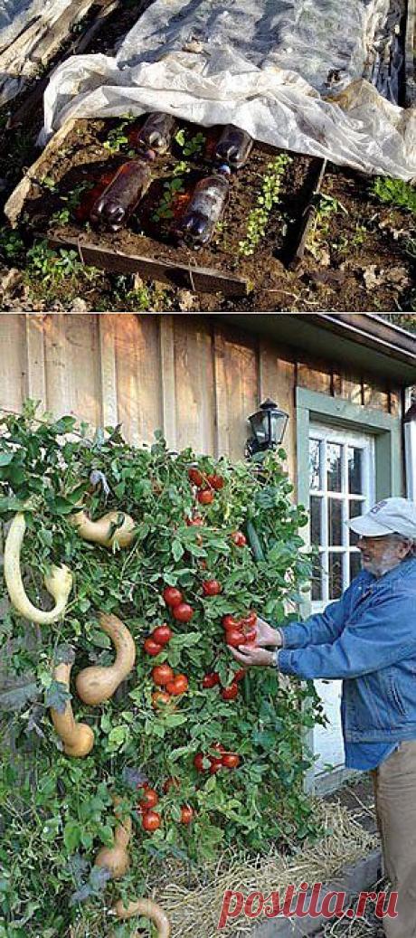 Полезности для дачи.