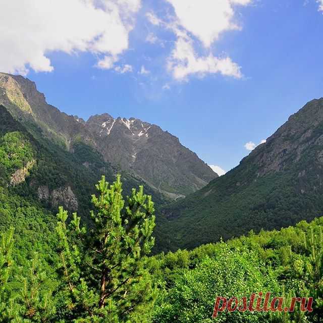 GORNYY LAGERY V DIGORII (SEVERNAYA OSETIYA)🚩
from 357 $ / 7 days

#skateboarding #skating #skater #instaskater #sk8 #sk8er #sk8ing #sk8ordie #photooftheday #board #longboard #longboarding #riding #kickflip #ollie #instagood #wheels #skatephotoaday #skateanddestroy #skateeverydamnday #skatespot #skaterguy #skatergirl #skatepark #skateboard #skatelife #сказочноебали #билетвлето #camplike